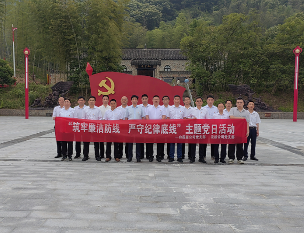 白蓮崖電站、流波電站_副本.png